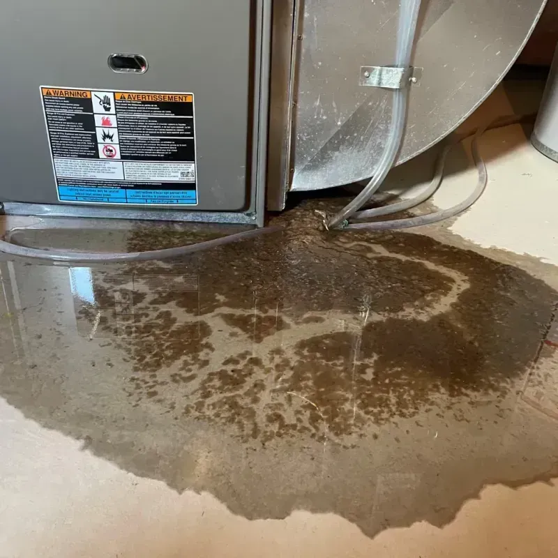 Appliance Leak Cleanup in Dilley, TX